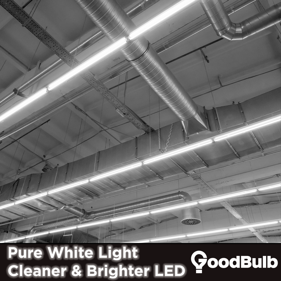 Pure white light from GoodBulb's cleaner and brighter LEDs.