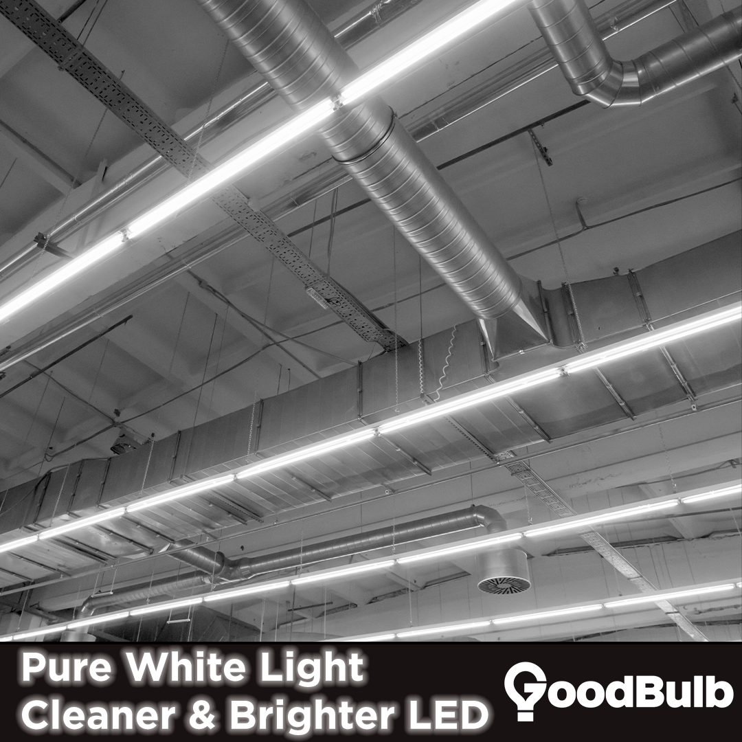 Pure white light with a cleaner and brighter LED.