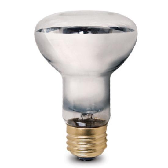 R20 Pet Heat Lamp 25W 130V Clear Medium Base