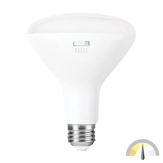 BR LED Lamp – BR30 – 8.5W