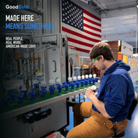 Made in America | 100W Equal | 1600 Lumens | LED A19 DAYLIGHT 5000K Bright, True Daylight