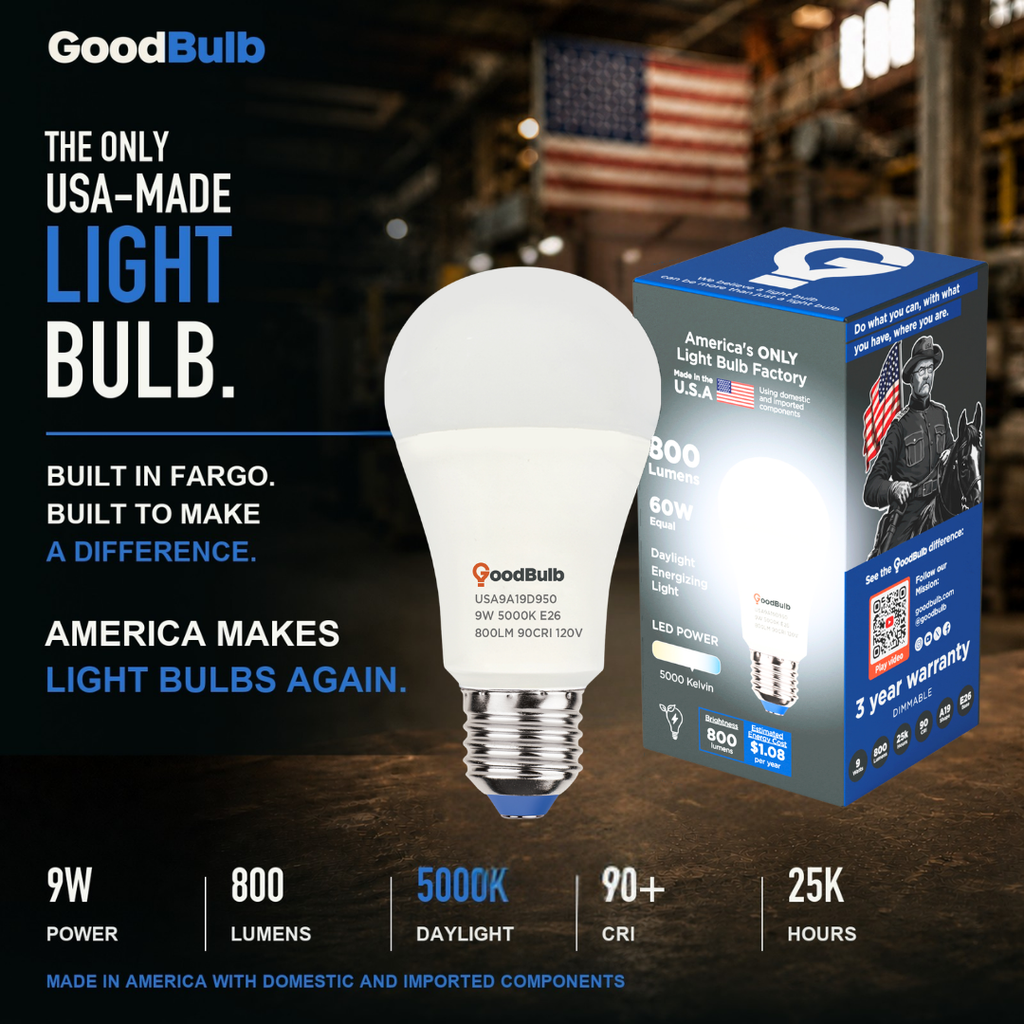 Made in America | 60W Equal | 800 Lumens | LED A19 DAYLIGHT 5000K Bright, True Daylight