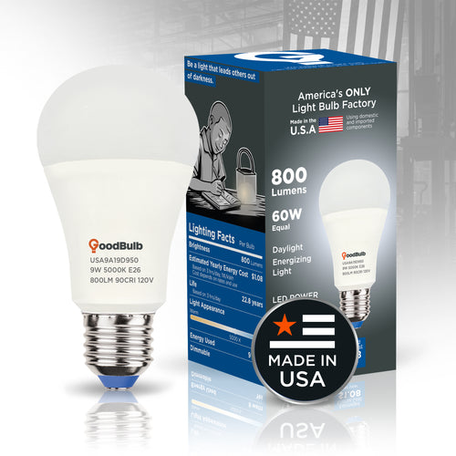 Made in America | 60W Equal | 800 Lumens | LED A19 DAYLIGHT 5000K Bright, True Daylight
