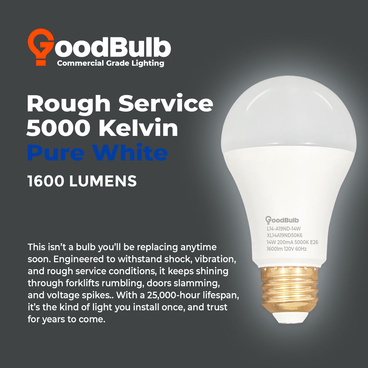 5000K Daylight Color Temperature Comparison – Bright white light ideal for task lighting and workspaces