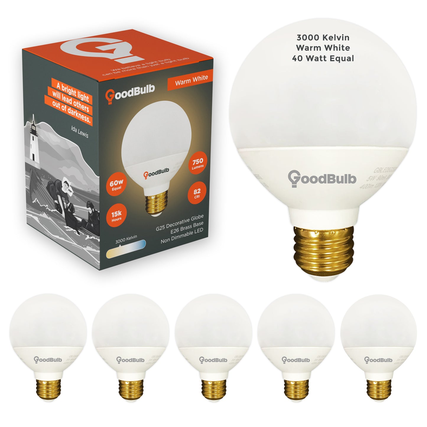 5 WATT ROUGH SERVICE LED A19 – WARM WHITE – 450 LUMENS – 3000 KELVIN – NON DIMMABLE