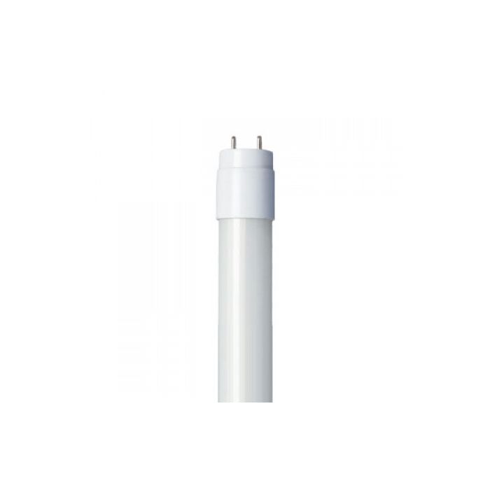 GoodBulb | Type AB LED T8 Tube 4' | 15W | 3000K | Glass | Ballast Compatible & Direct-Wire | 1700 Lumens(2-Pack)