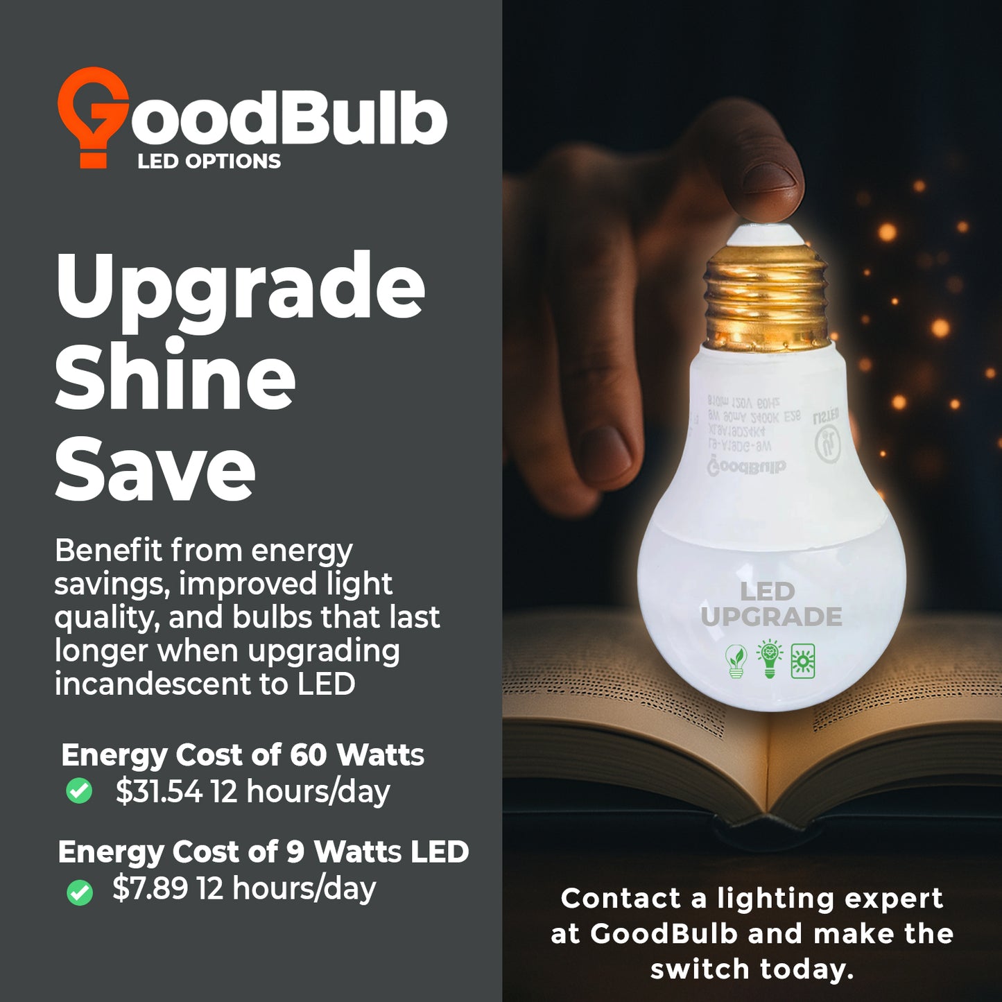 60 Watts - A19 Ceramic Green Incandescent - Party Light Bulb - 2000 Life Hours - 120 Volts - E26 Brass Base