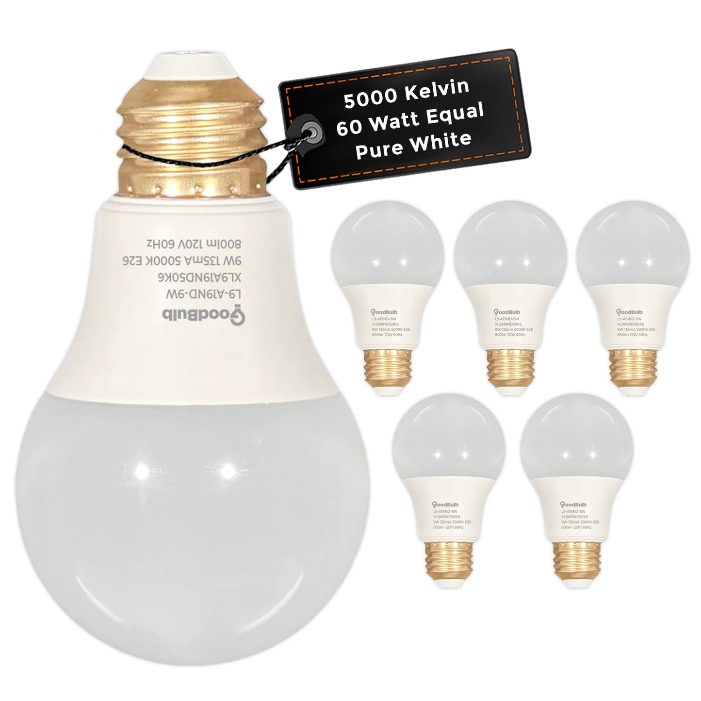 60 WATT REPLACEMENT – 9 WATT ROUGH SERVICE LED A19 – PURE WHITE – 800 LUMENS – 5000 KELVIN – NON DIMMABLE - 25,000 HOURS - 5 YEAR WARRANTY