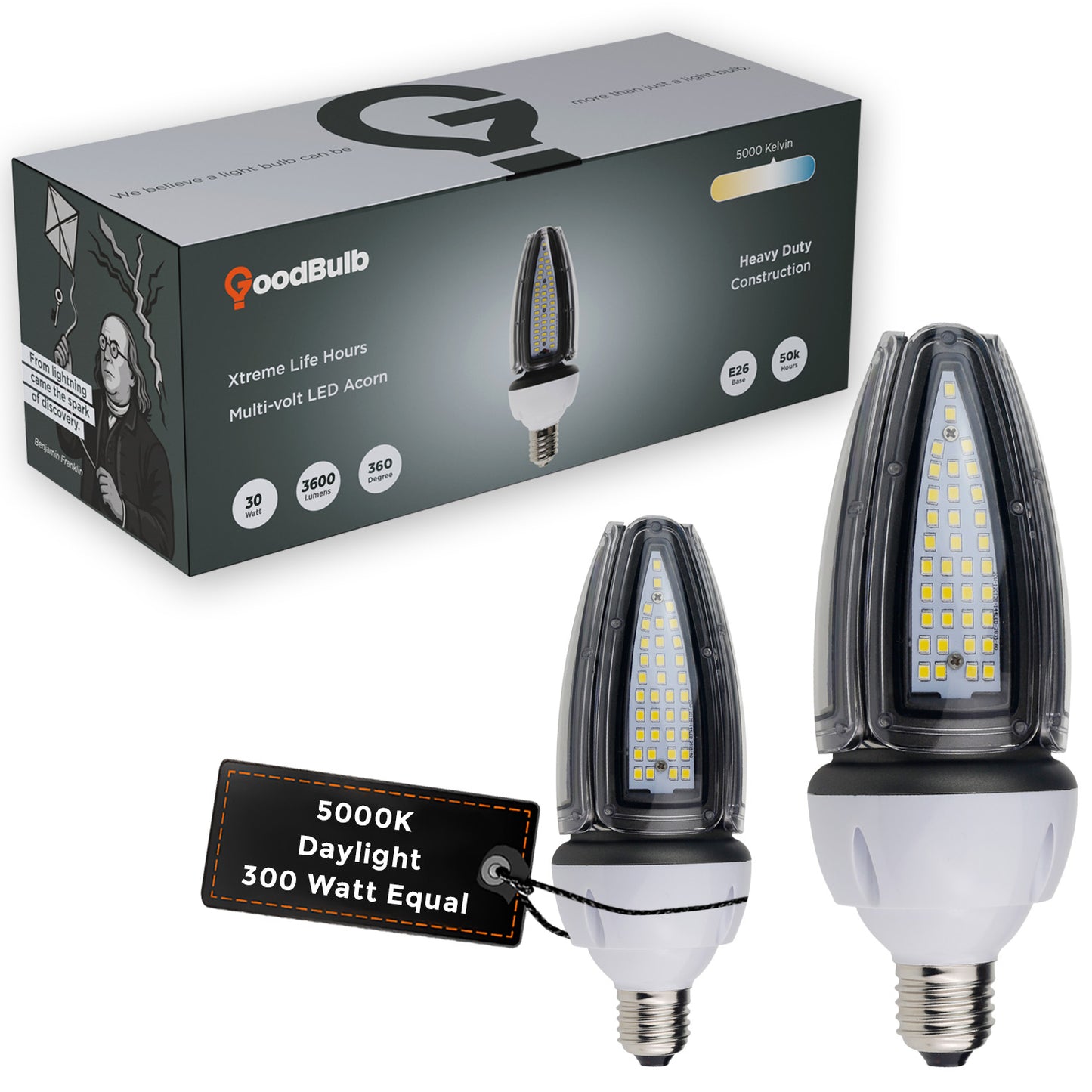 300w EQUIVALENT - 30 WATT NON-DIMMABLE LED ACORN - 84 CRI - PLATINUM PURE WHITE - 4200 LUMENS - 5000 KELVIN - ROUGH SERVICE - 50,000 HOURS & 5 YEAR