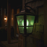 Green Incandescent Light Bulb, 60W, Green Glass, Dimmable, E26