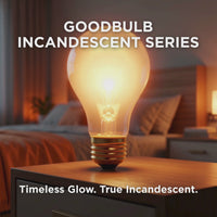 60-Watt Incandescent Light Bulb, Rough Service A19, Dimmable