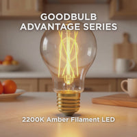 A19 LED Filament Bulb, Amber Glass, Vintage, Dimmable, E26